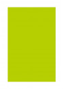 Cerederm Силиконовая пластина 10*20 см